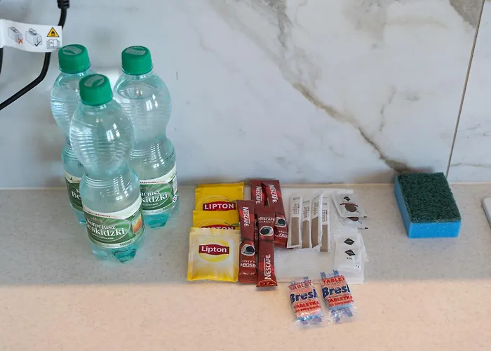 Daire Kwiatkowskiego Modern By Bookinghost *